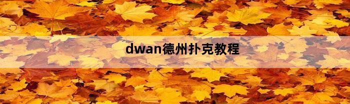 dwan德州扑克教程