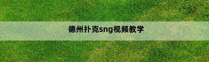 德州扑克sng视频教学