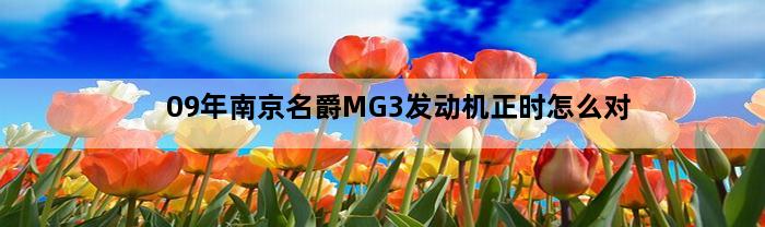 09年南京名爵MG3发动机正时怎么对