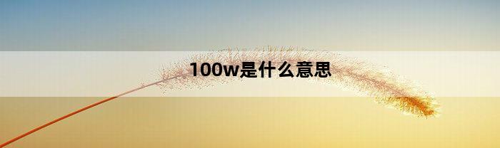 100w是什么意思