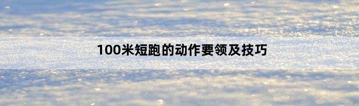 100米短跑的动作要领及技巧