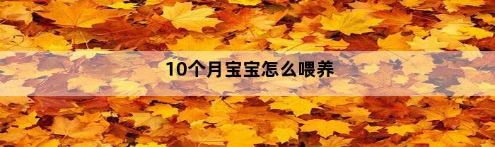 10个月宝宝怎么喂养