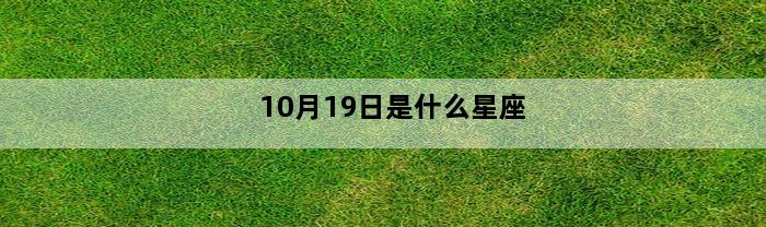 10月19日是什么星座