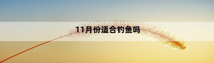 11月份适合钓鱼吗