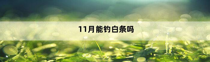 11月能钓白条吗