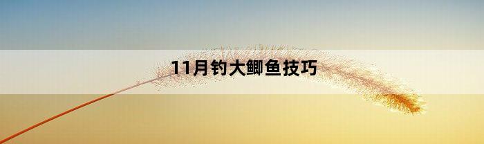 11月钓大鲫鱼技巧