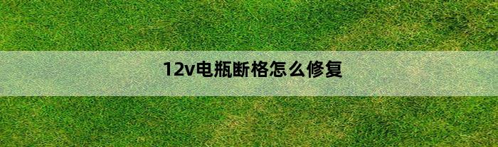 12v电瓶断格怎么修复