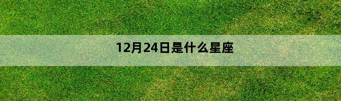 12月24日是什么星座