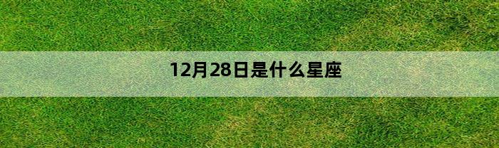 12月28日是什么星座