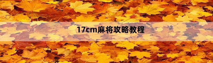 17cm麻将攻略教程