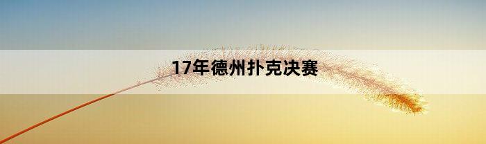 17年德州扑克决赛