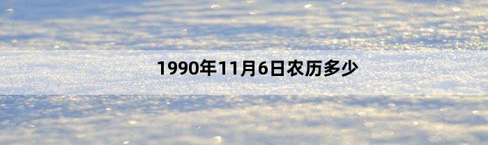 1990年11月6日农历多少