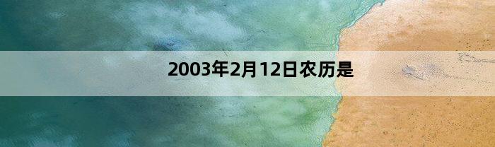 2003年2月12日农历是