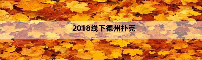 2018线下德州扑克