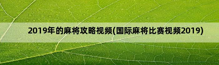 2019年的麻将攻略视频(国际麻将比赛视频2019)