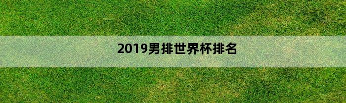 2019男排世界杯排名