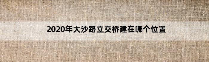 2020年大沙路立交桥建在哪个位置