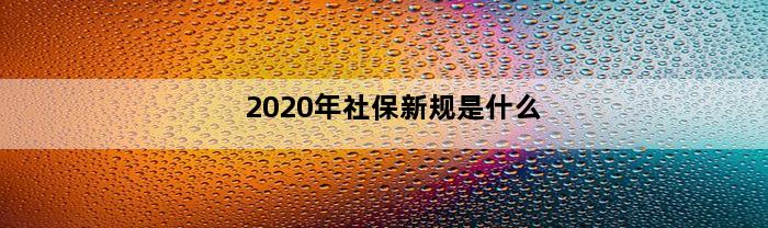 2020年社保新规是什么