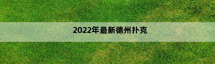 2022年最新德州扑克