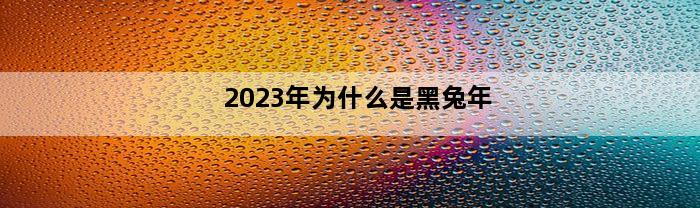 2023年为什么是黑兔年