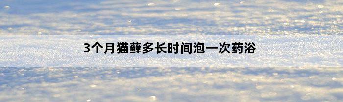 3个月猫藓多长时间泡一次药浴