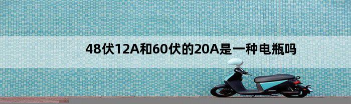 48伏12A和60伏的20A是一种电瓶吗