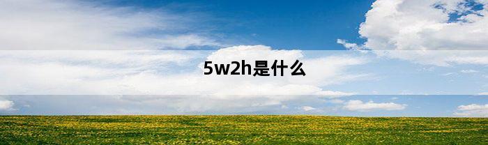 5w2h是什么