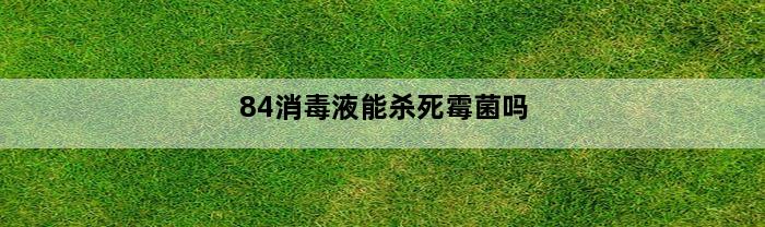 84消毒液能杀死霉菌吗