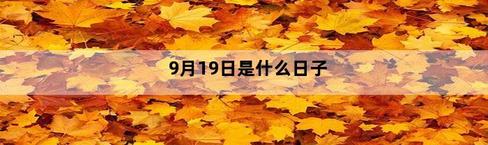 9月19日是什么日子