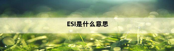 ESI是什么意思