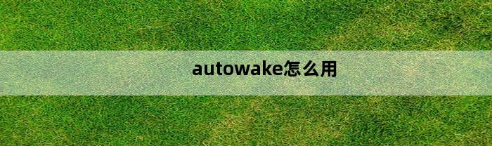 autowake怎么用