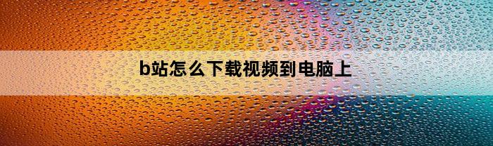 b站怎么下载视频到电脑上