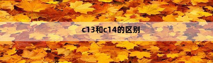 c13和c14的区别