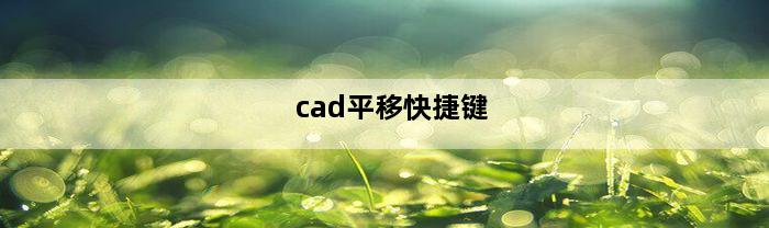 cad平移快捷键