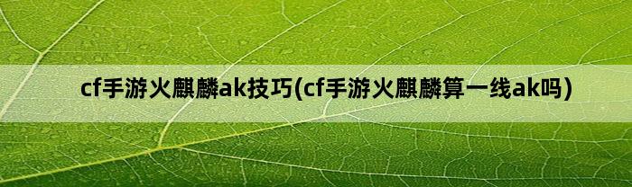 cf手游火麒麟ak技巧(cf手游火麒麟算一线ak吗)