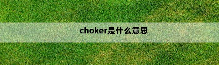 choker是什么意思