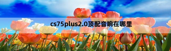 cs75plus2.0顶配音响在哪里