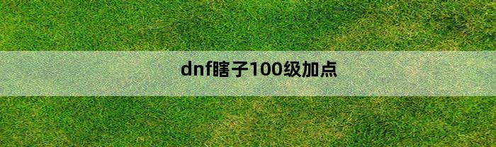 dnf瞎子100级加点