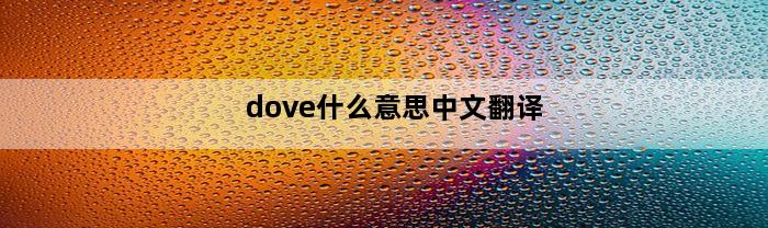 dove什么意思中文翻译