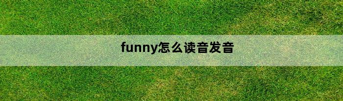 funny怎么读音发音