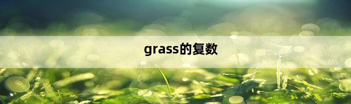 grass的复数