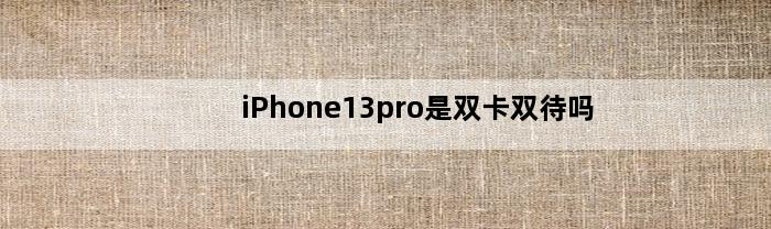 iPhone13pro是双卡双待吗