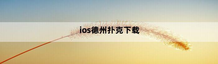 ios德州扑克下载