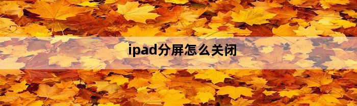 ipad分屏怎么关闭