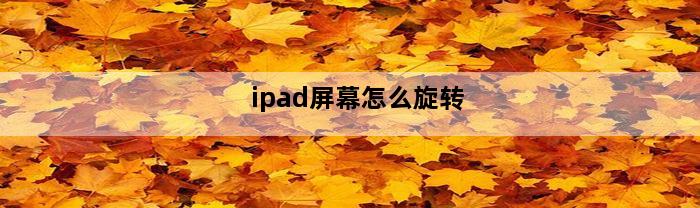 ipad屏幕怎么旋转