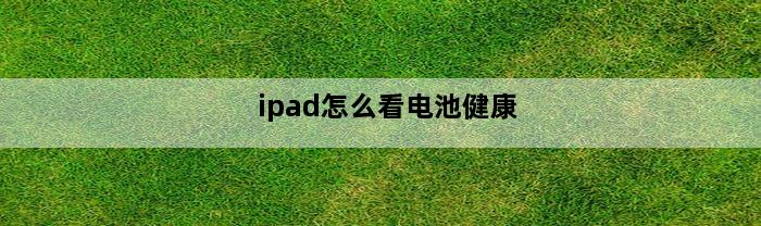 ipad怎么看电池健康