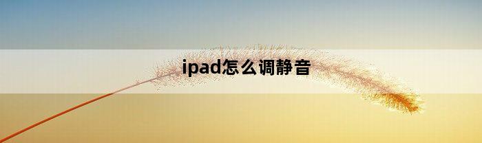 ipad怎么调静音