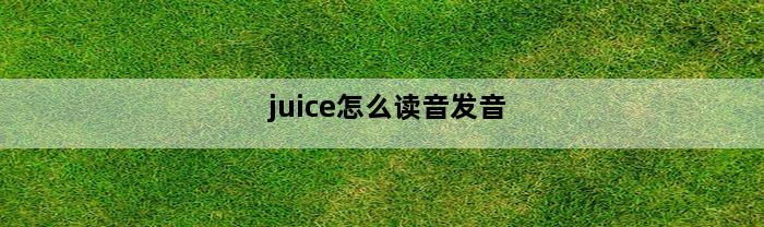 juice怎么读音发音