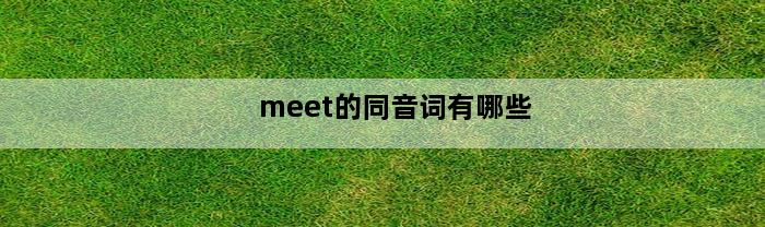 meet的同音词有哪些