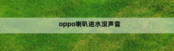 oppo喇叭进水没声音